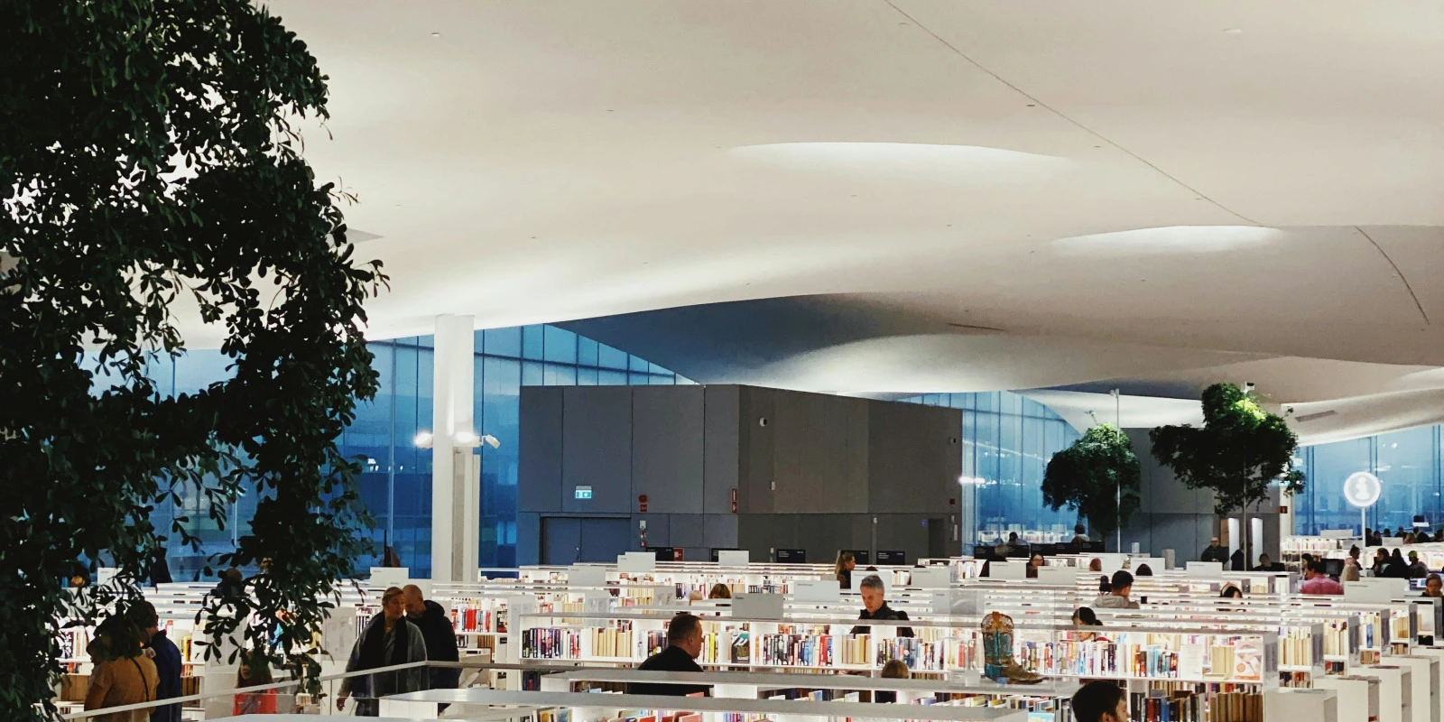 Étudier En Licence AES À Lille