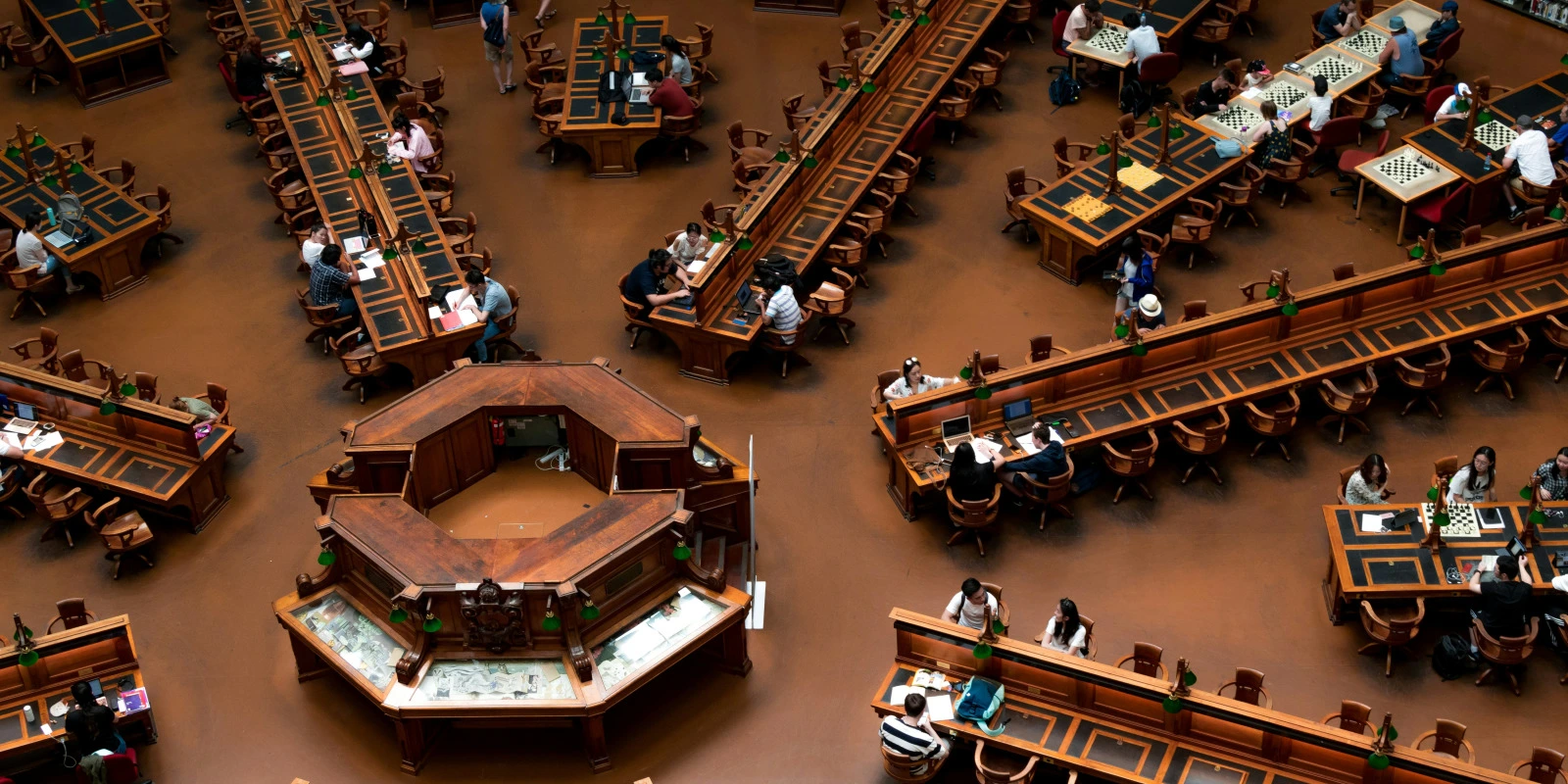 Étudier La Licence Administration Économique Et Sociale : Guide Complet