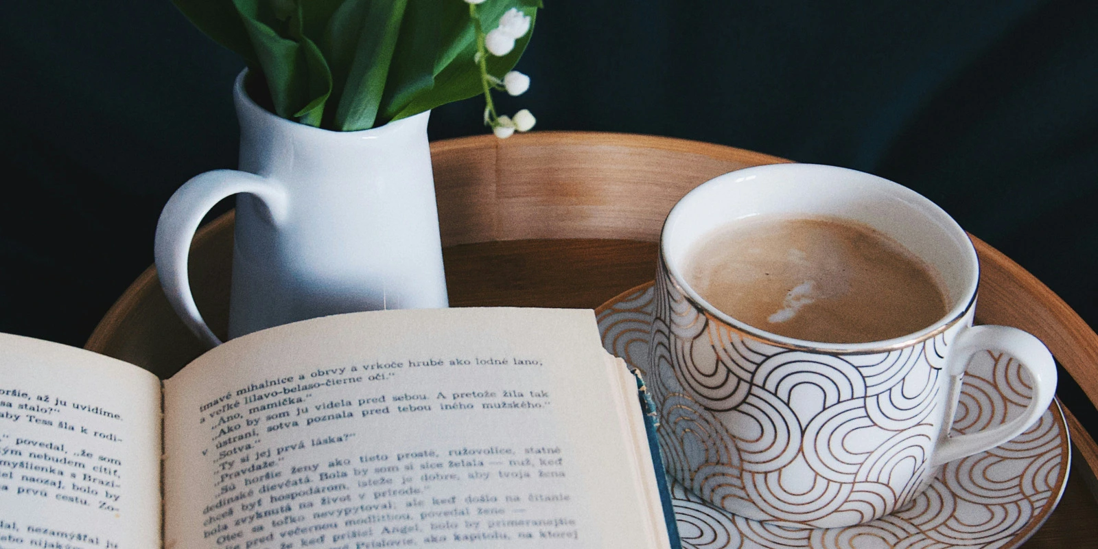 La Licence AEI (Administration Économique Et Sociale) À Lyon 2