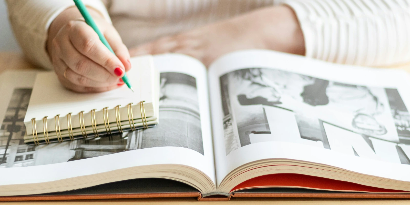 Le Programme De La Licence AEI (Administration Économique Et Sociale)