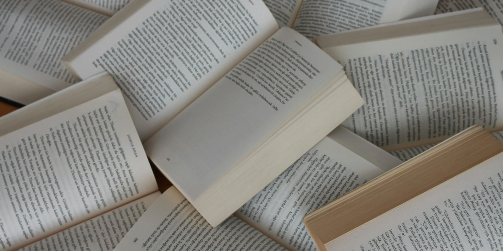 Les Différents Parcours En Licence AES