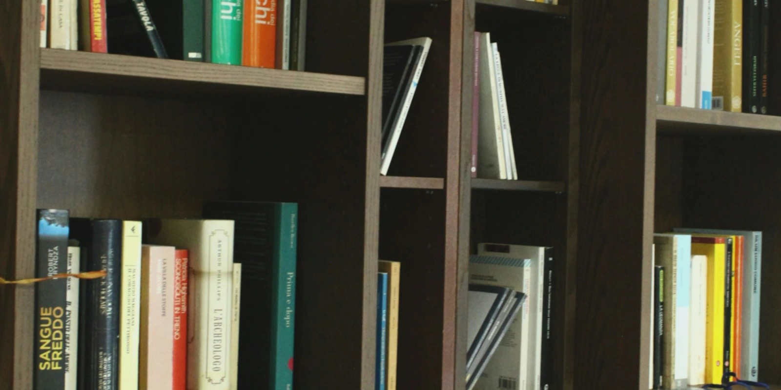 Les Perspectives De Métiers Avec Une Licence AES