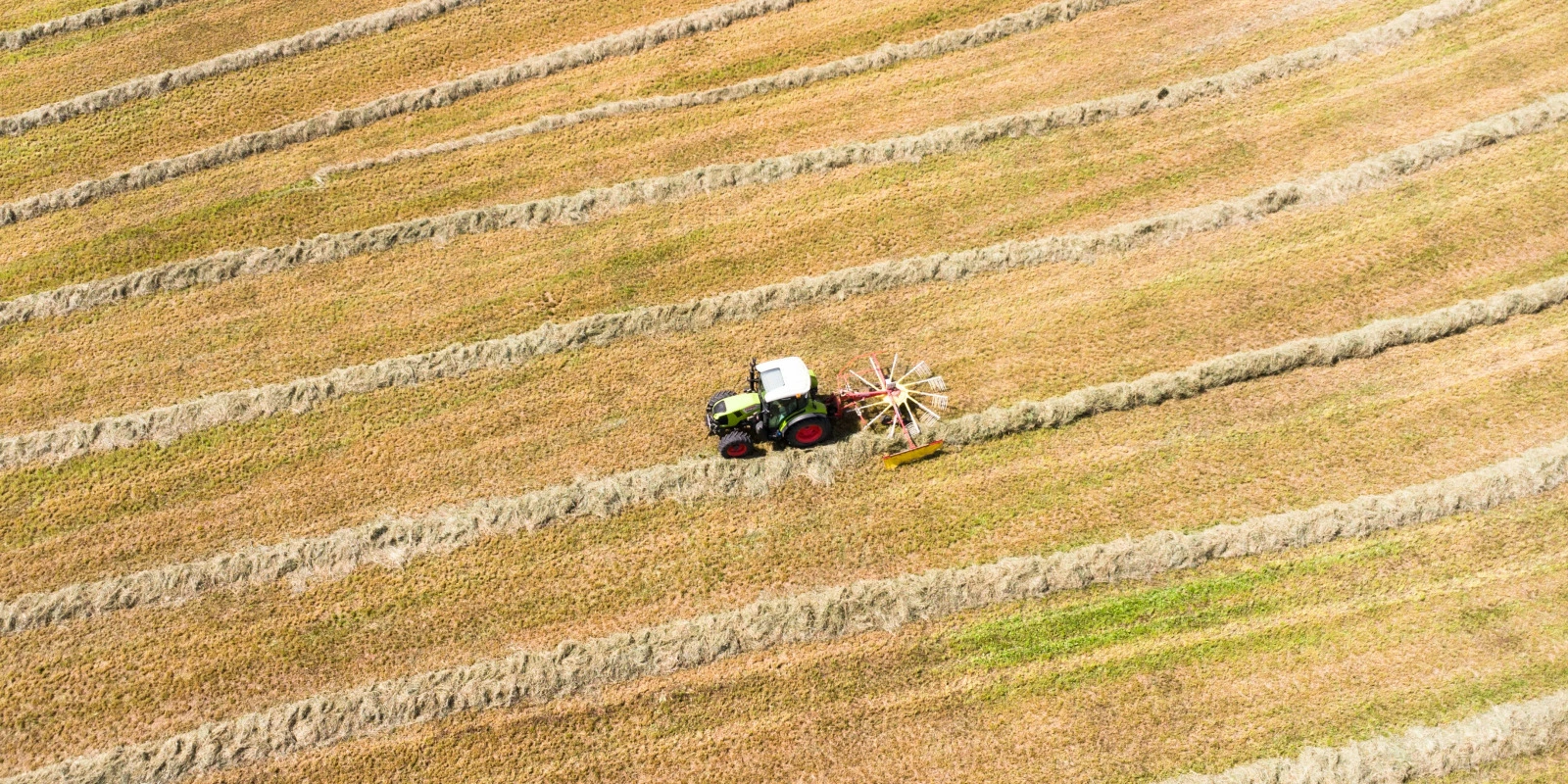 Licence AEI (Administration Économique Et Sociale) : Débouchés