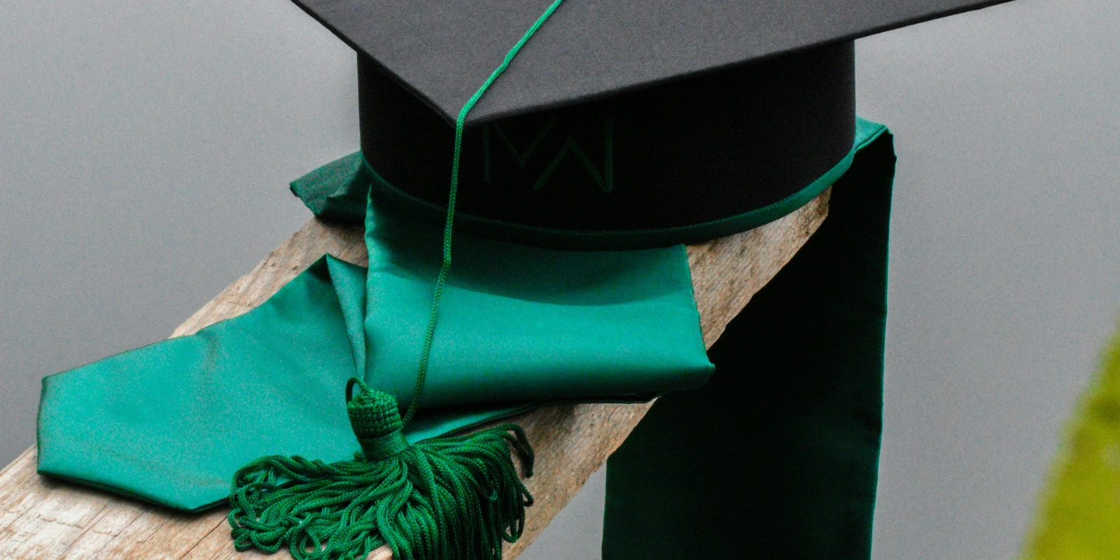 Licence AES À Distance : Programme Et Débouchés