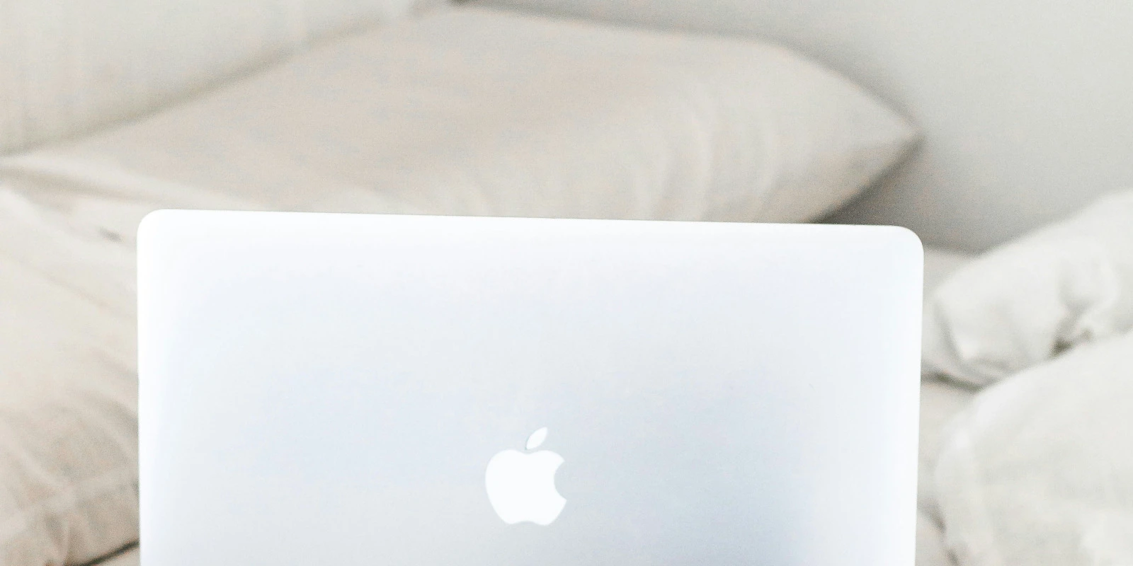 Licence AES : Études Et Perspectives