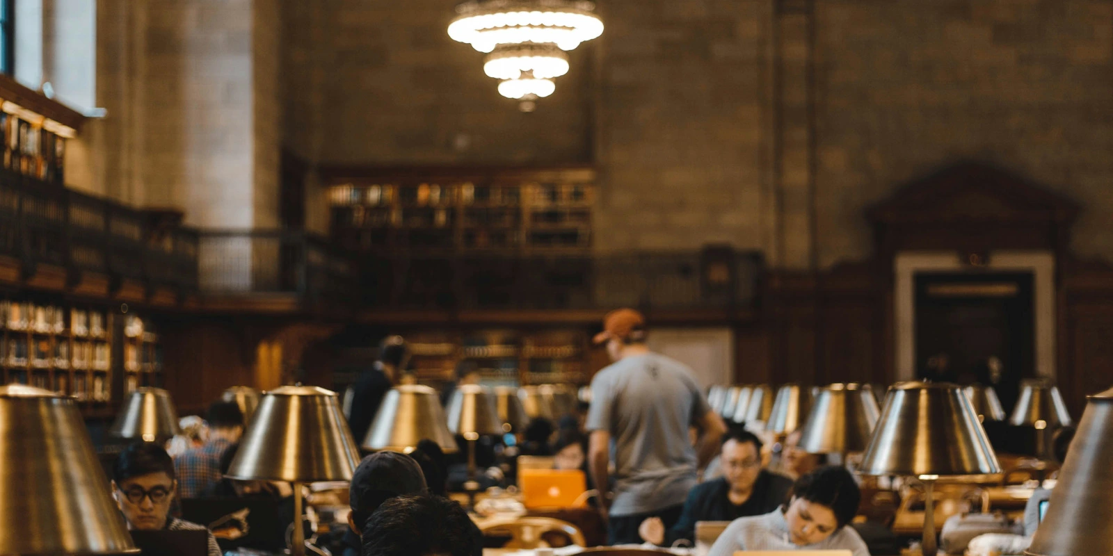 Licence AES : Programme Et Cours