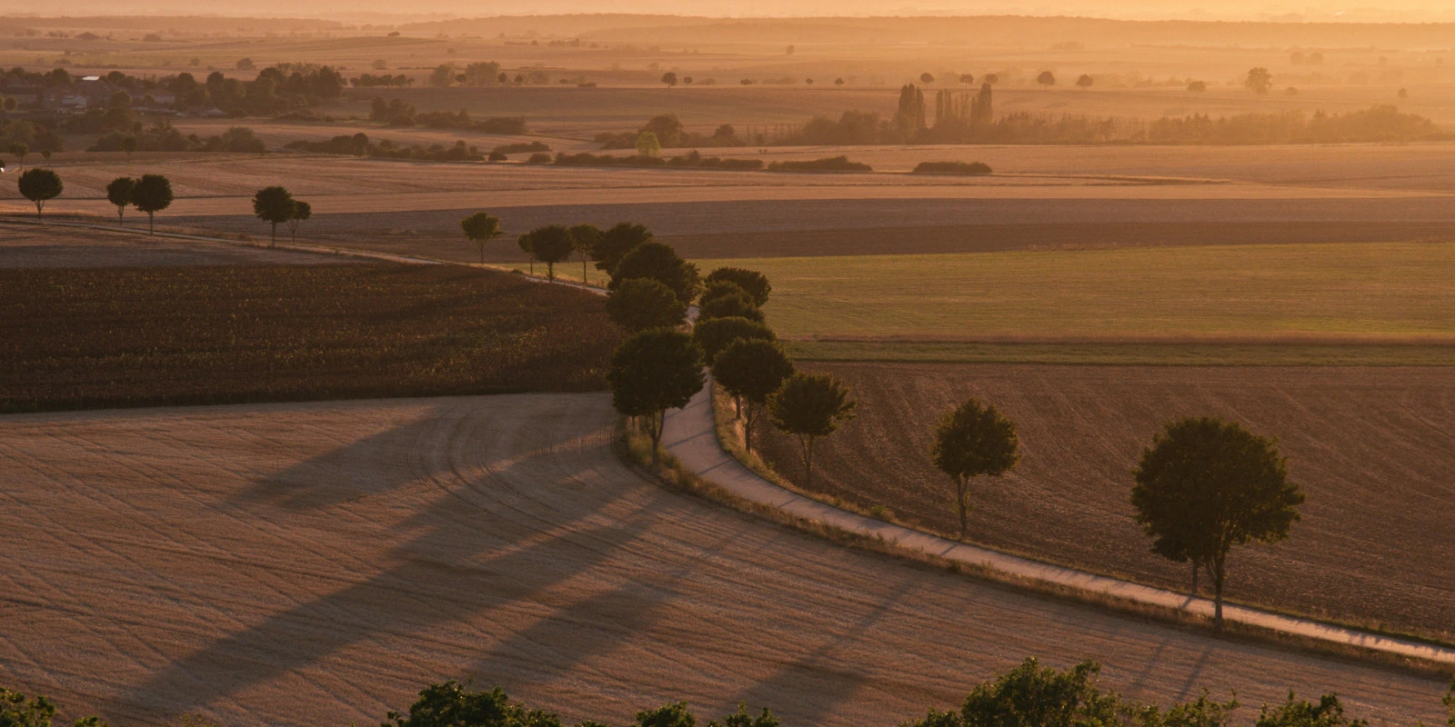 Licence AES : Programme Et Déroulement Des Cours