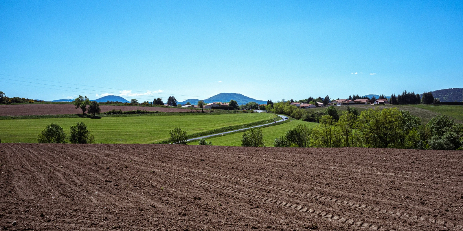 Pourquoi Choisir Une Licence AES ?