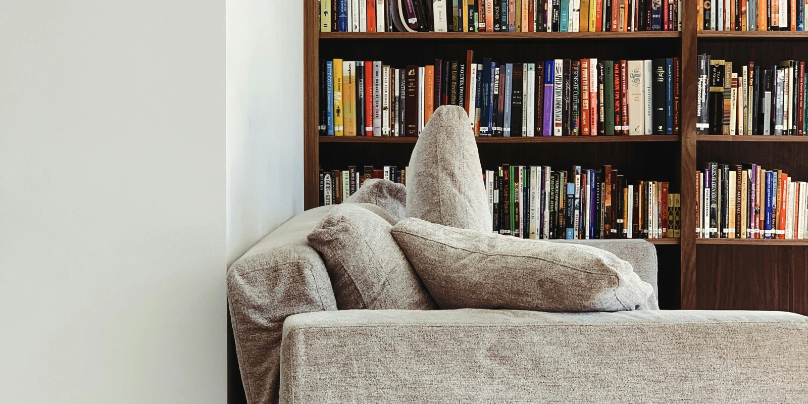 Quels Sont Les Débouchés Après Une Licence AES