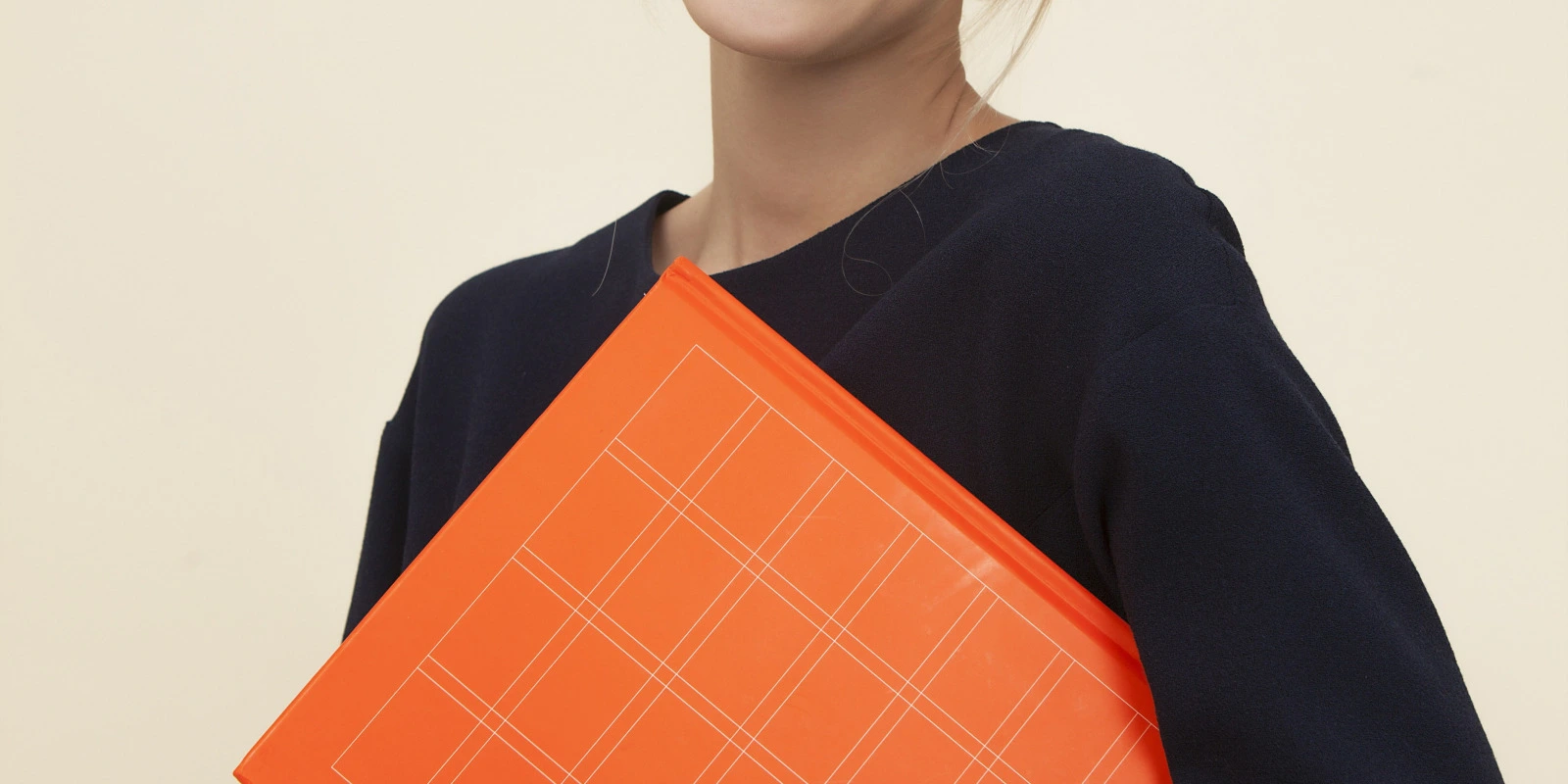 Stage Et Expériences Professionnelles Pendant La Licence AES